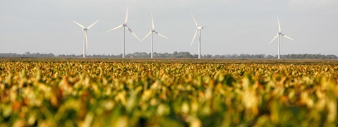 Stags Holt onshore wind farm